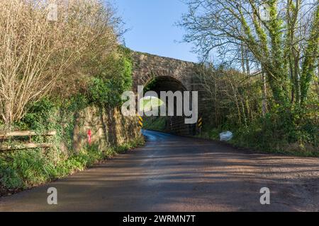 Eine Eisenbahnbrücke über eine Landstraße neben der Stogumber Station an der West Somerset Railway, England. Stockfoto