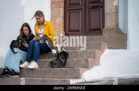 Zwei Mädchen füttern Katzen auf der Straße. Stockfoto