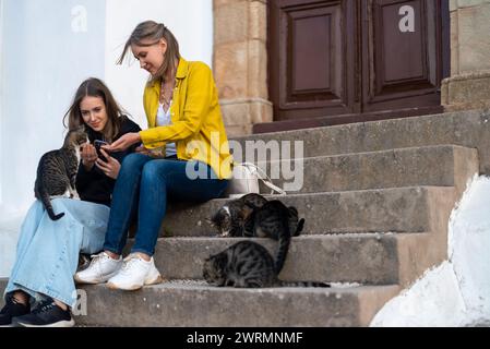 Zwei Mädchen füttern Katzen auf der Straße. Stockfoto