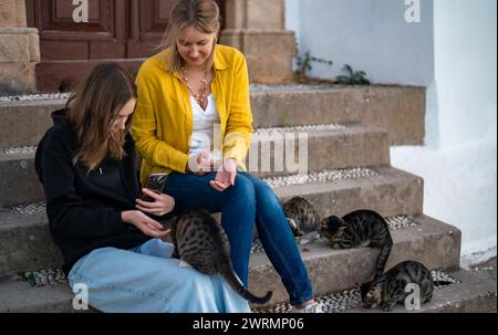 Zwei Mädchen füttern Katzen auf der Straße. Stockfoto