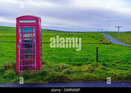 Blick auf eine rote Telefonzelle, in einer Landschaft mit Viehfeldern, auf den Orkney-Inseln, Schottland, Großbritannien Stockfoto