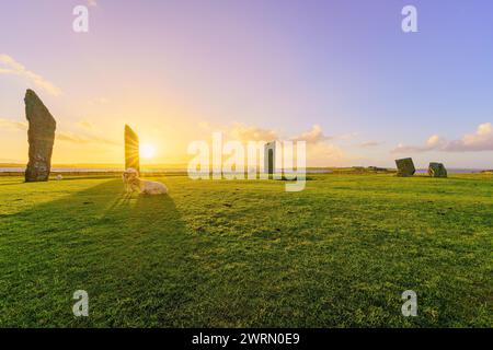 Blick auf den Sonnenuntergang über die Steine von Stenness mit Schafen auf den Orkney Islands, Schottland, Großbritannien Stockfoto