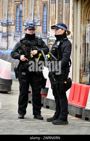 Bewaffnete weibliche Metropolitan Police Officers, Houses of Parliament, London, UK Stockfoto