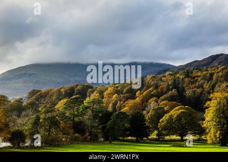 Bäume in Herbstfarben mit Coniston Old man hinter, Coniston, Lake District National Park, UNESCO-Weltkulturerbe, Cumbria, England, United King Stockfoto