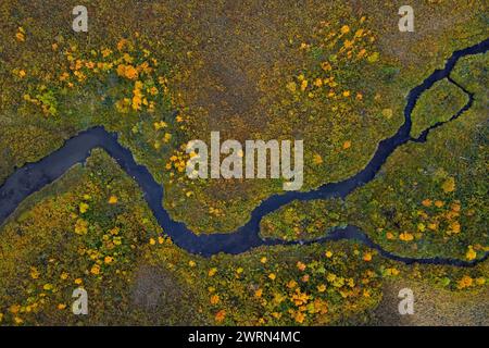 Luftaufnahme über den mäandernden Bach im Moorland im Herbst/Herbst bei Hedmark, Innlandet, Ostnorwegen Stockfoto