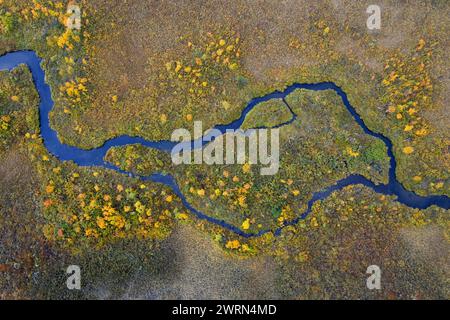 Luftaufnahme über den mäandernden Bach im Moorland im Herbst/Herbst bei Hedmark, Innlandet, Ostnorwegen Stockfoto