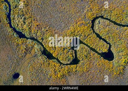 Luftaufnahme über den mäandernden Bach im Moorland im Herbst/Herbst bei Hedmark, Innlandet, Ostnorwegen Stockfoto