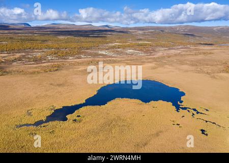 Blick aus der Vogelperspektive über den Teich im Sumpfland im Herbst/Herbst bei Hedmark, Innlandet, Ostnorwegen Stockfoto