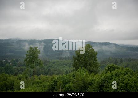 Norwegische Berge, Fjorde mit grünen Bäumen, umgeben von weißem Nebel an einem bewölkten, regnerischen Tag. Stockfoto