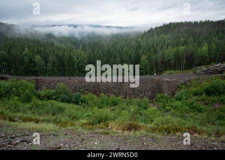 Zuggleise führen in den Bergen neben einem Wald aus grünen Nadelbäumen mit norwegischen Bergen und Fjorden im Hintergrund, umgeben von weißen Mis Stockfoto