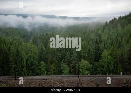 Zuggleise führen in den Bergen neben einem Wald aus grünen Nadelbäumen mit norwegischen Bergen und Fjorden im Hintergrund, umgeben von weißen Mis Stockfoto