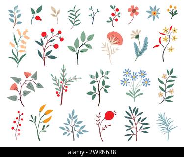 Set aus verschiedenen Wildblumen und Kräutern. Buntes Set verschiedener Zweige mit Blättern, rote Beeren isoliert auf weißem Hintergrund Stock Vektor