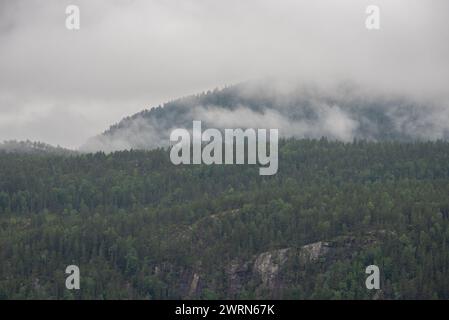 Landschaft mit norwegischen Bergen an einem nebeligen Tag. Stockfoto