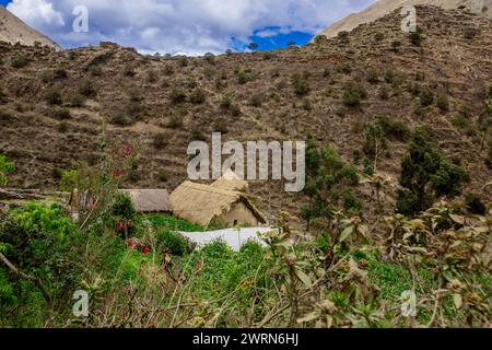 Ansichten von Ollantaytambo, Peru, Südamerika Copyright: LauraxGrier 1218-1849 Stockfoto