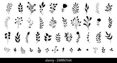 Handgezeichnetes Hochzeitskraut, minimalistische Blumen mit eleganten Blättern. Schwarzweiß-Abbildungen isoliert auf weißem Hintergrund Stock Vektor