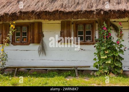 Ein Fenster eines alten Landhauses mit Holzläden und Blumen hinter dem Glas Stockfoto