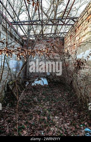 Tab, Ungarn - 24. Februar 2021: Ungarisch gealtert verloren Platz im Wald. Ehemalige sowjetische, verlassene Kasernen der Armeebasis und zugehörige Gebäude. Stockfoto
