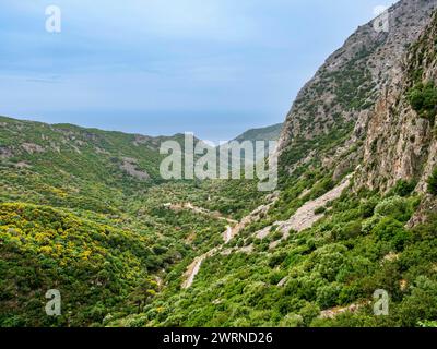 Landschaft des Mount Kerkis-Tals, Samos-Insel, Nordägäis, griechische Inseln, Griechenland, Europa Copyright: KarolxKozlowski 1245-3367 Stockfoto