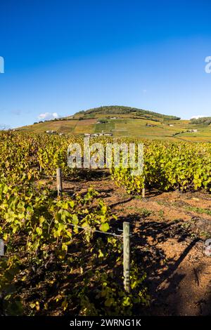 Mont Brouilly et Son vignoble produisant l’un des meilleurs vins du Beaujolais Stockfoto