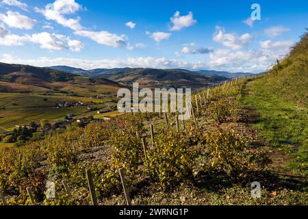 Panorama sur les monts et les vignes du Beaujolais depuis les flancs du Mont Brouilly Stockfoto