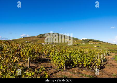 Mont Brouilly et Son vignoble produisant l’un des meilleurs vins du Beaujolais Stockfoto