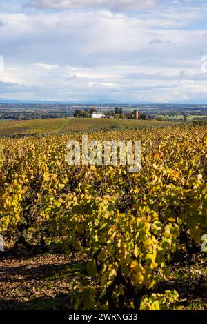 Hameau de Monternot, dans la commune de Charentay, au cœur des vignes du Beaujolais, près du Mont Brouilly Stockfoto