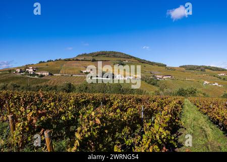 Mont Brouilly et Son vignoble produisant l’un des meilleurs vins du Beaujolais Stockfoto