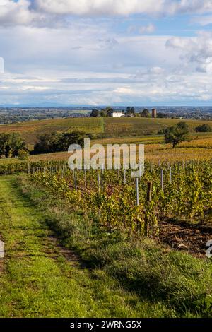 Hameau de Monternot, dans la commune de Charentay, au cœur des vignes du Beaujolais, près du Mont Brouilly Stockfoto