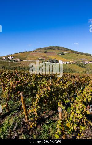 Mont Brouilly et Son vignoble produisant l’un des meilleurs vins du Beaujolais Stockfoto