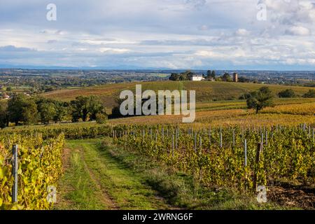 Hameau de Monternot, dans la commune de Charentay, au cœur des vignes du Beaujolais, près du Mont Brouilly Stockfoto