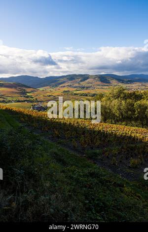 Panorama sur les monts et les vignes du Beaujolais depuis les flancs du Mont Brouilly Stockfoto