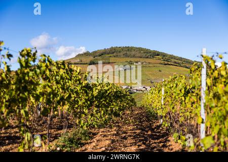 Mont Brouilly et Son vignoble produisant l’un des meilleurs vins du Beaujolais Stockfoto