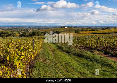 Hameau de Monternot, dans la commune de Charentay, au cœur des vignes du Beaujolais, près du Mont Brouilly Stockfoto