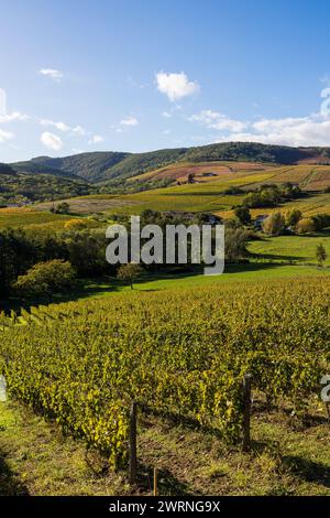 Vignoble du Mont Brouilly, l’un des plus beau terroir du Beaujolais Stockfoto