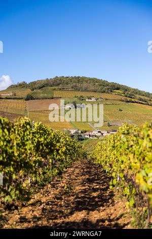 Mont Brouilly et Son vignoble produisant l’un des meilleurs vins du Beaujolais Stockfoto