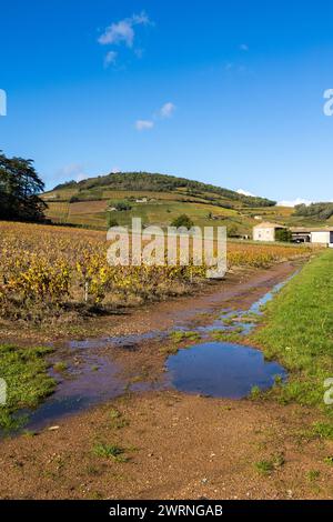 Mont Brouilly et Son vignoble produisant l’un des meilleurs vins du Beaujolais Stockfoto