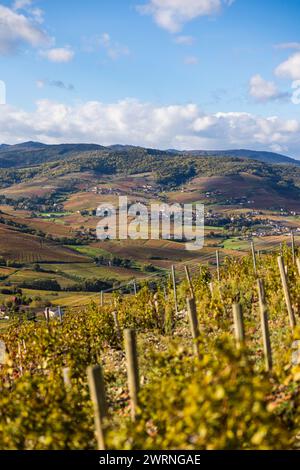 Panorama sur les monts et les vignes du Beaujolais depuis les flancs du Mont Brouilly Stockfoto