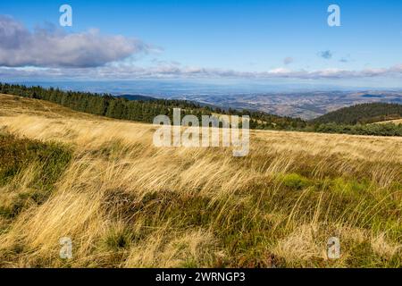 Panorama sur le parc naturel régional du Pilat depuis le chemin de randonnée des crêts Stockfoto