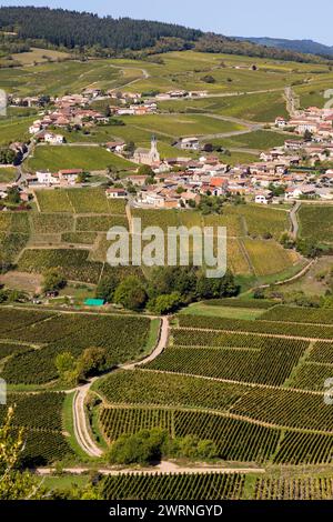 Village de Vergisson, au milieux des vignes de l’appellation Pouilly-Fuissé, en Bourgogne Stockfoto