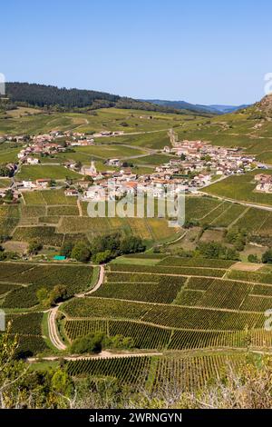 Village de Vergisson, au milieux des vignes de l’appellation Pouilly-Fuissé, en Bourgogne Stockfoto