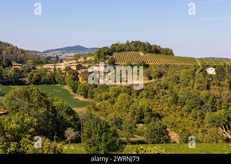 Vignoble du Beaujolais près du Village de Jarnioux, dans le Pays des pierres dorées Stockfoto