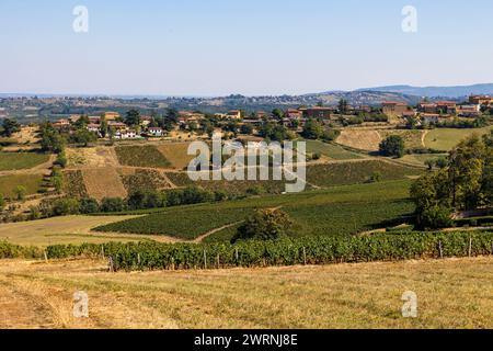 Vignoble du Beaujolais près du Village de Jarnioux, dans le Pays des pierres dorées Stockfoto