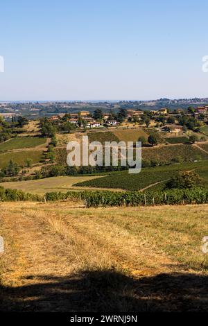 Vignoble du Beaujolais près du Village de Jarnioux, dans le Pays des pierres dorées Stockfoto