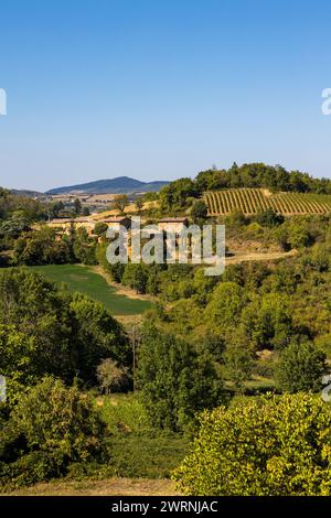 Vignoble du Beaujolais près du Village de Jarnioux, dans le Pays des pierres dorées Stockfoto