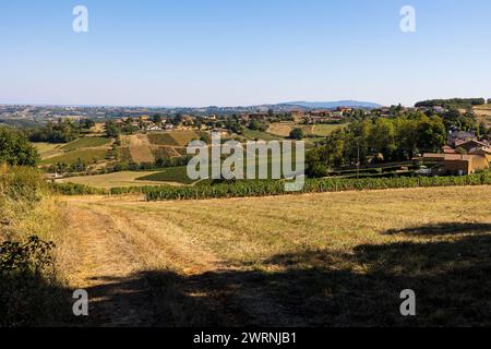 Vignoble du Beaujolais près du Village de Jarnioux, dans le Pays des pierres dorées Stockfoto