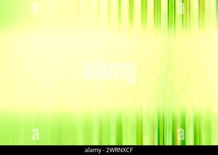 Hintergrund mit farbigen Linien, abstrakter farbiger Hintergrund, farbige wellige Linien auf einfarbigem Grün. Platz für Text. Eine völlig neue Vorlage für Ihren Stockfoto