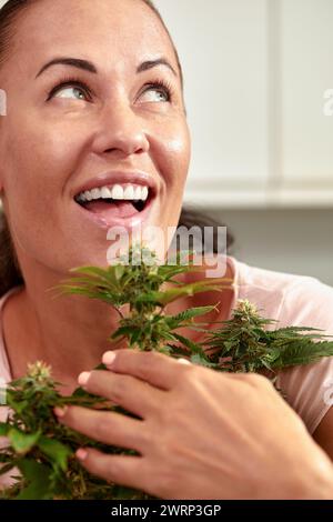 Eine detaillierte Nahaufnahme fängt die Hände einer Person ein, die junge Cannabispflanzen in einem häuslichen Umfeld pflegt, und hebt das natürliche Wachstum und die Persönlichkeit hervor Stockfoto