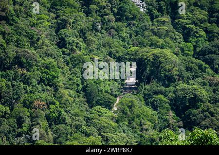 Aus der Vogelperspektive auf die grüne Vegetation des Atlantischen Waldes mit dem Washington Luiz Highway (BR-040), der dazwischen unter dem sonnigen Sommertag verläuft. Stockfoto