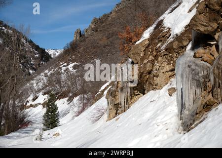 Oberer Abschnitt des Wheeler Creek Trail bei Ogden und Hunsville, Utah. Stockfoto