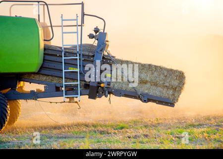 Ballen von komprimiertem Stroh im Mähdrescher. Mähdrescher drückt Stroh vom Feld. Sonniger Sommerabend. Viel Staub. Landwirtschaftliche Erntearbeiten. Landwirtschaft und Landwirtschaft. Landwirtschaftliche Maschinen Stockfoto